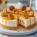 Lotus-Cheesecake ohne Backen First Image First Image